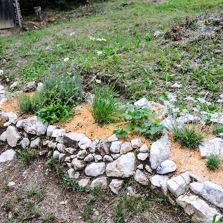 Gorska Hiska Vogar Nad Bohinjskim Jezerom Exteriör bild