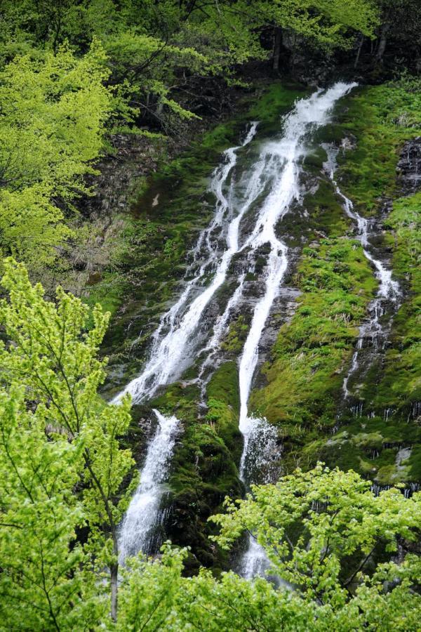 Gorska Hiska Vogar Nad Bohinjskim Jezerom Exteriör bild